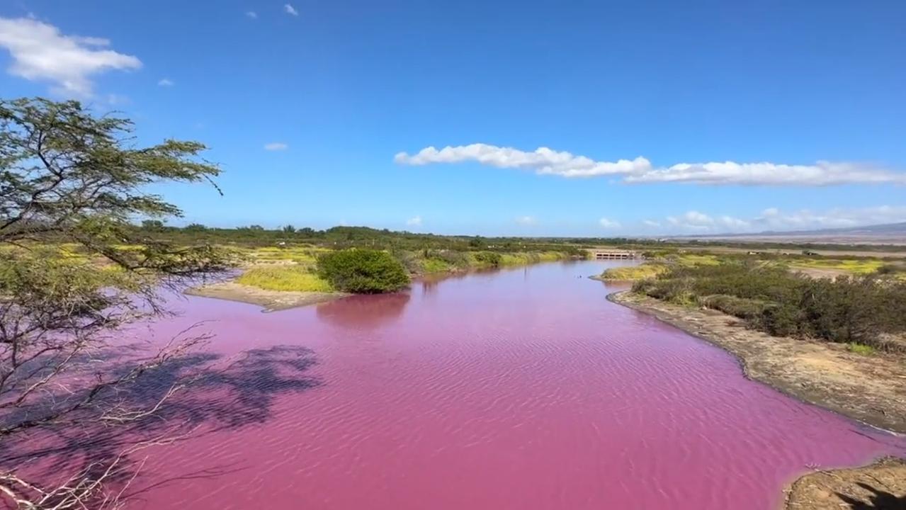 Foto de lago rosa no Havaí